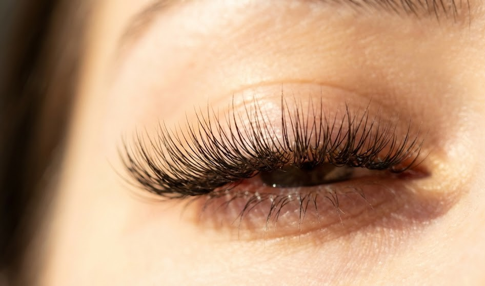 睫毛示意圖